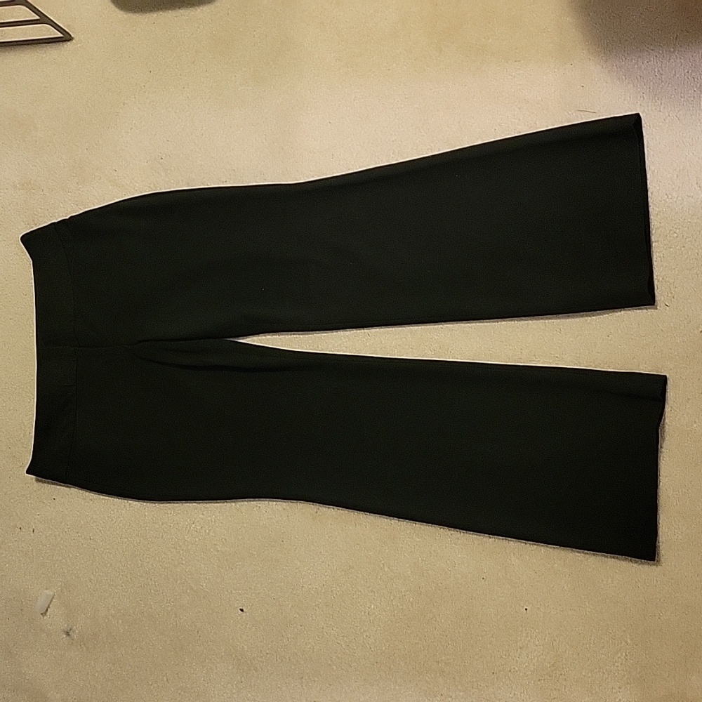 NWOT Express Editor Wide Leg Low Cut Dress Pants In Black